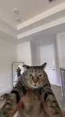 406x720