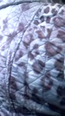 202x360