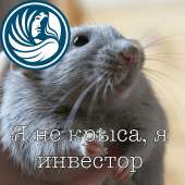 1280x1280
