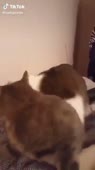 360x640