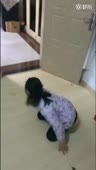 460x808