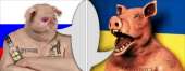 1080x422