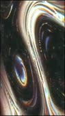 576x1024