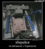 448x480