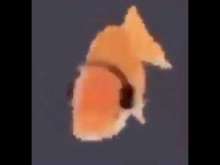 480x360