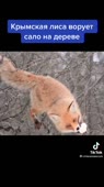 540x960