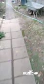 384x720