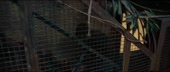 1270x540