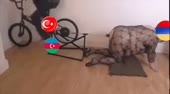640x354