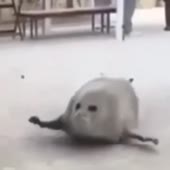 360x360