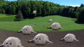 640x360