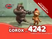 320x240