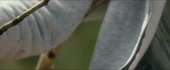 1296x540