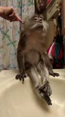 406x720