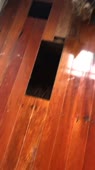 406x720