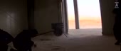 854x362
