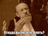 500x377