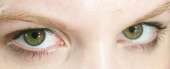 800x327
