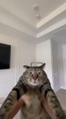 406x720