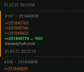 464x399