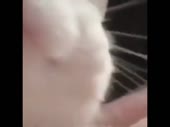 480x360
