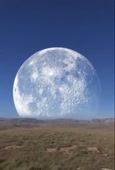 436x640