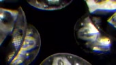 600x338