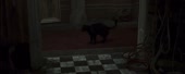 1330x536