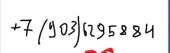 546x172