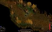 960x600