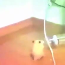 360x360