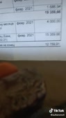576x1024