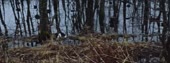640x240