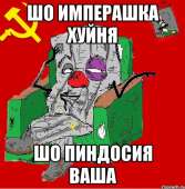 558x568