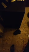 608x1080