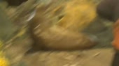 640x360