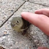 360x360