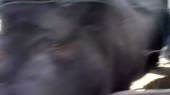 640x360