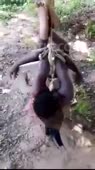 360x640