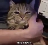 400x372