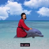 360x360