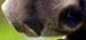 210x99