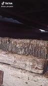 576x1024