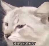 400x372