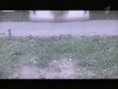 472x360
