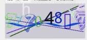 293x137