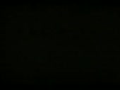320x240