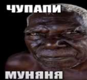 500x464