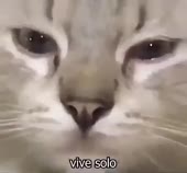 400x372