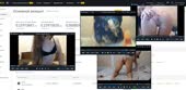 1464x720